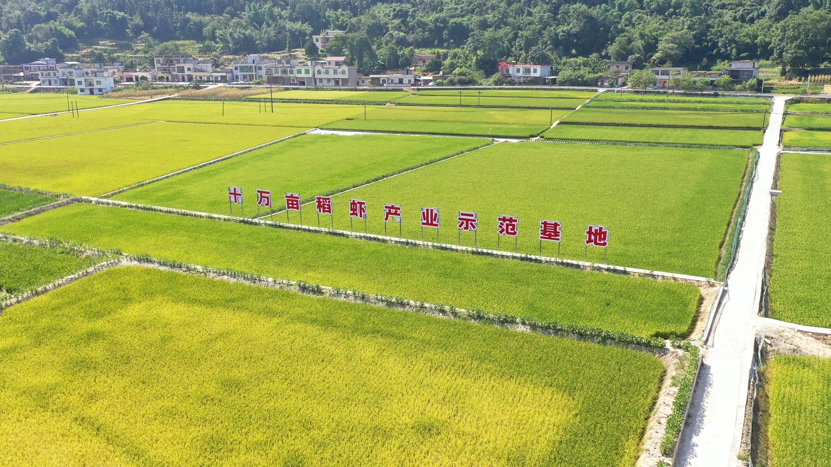 kaiyun：2024四川水产工作划出这些重点：推进“鱼米之乡”、产业集群建设……(图2)