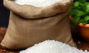 生猪环保之风吹不尽人与自然和谐相处一直在路上(图5)