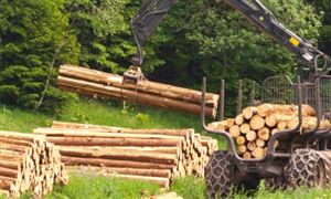 kaiyun网站：2024年中国海洋渔业发展现状及发展趋势(图6)