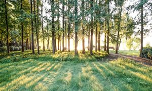 kaiyun网站：2024年中国海洋渔业发展现状及发展趋势(图5)