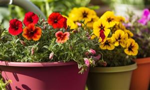 kaiyun网站：2024年中国海洋渔业发展现状及发展趋势(图7)