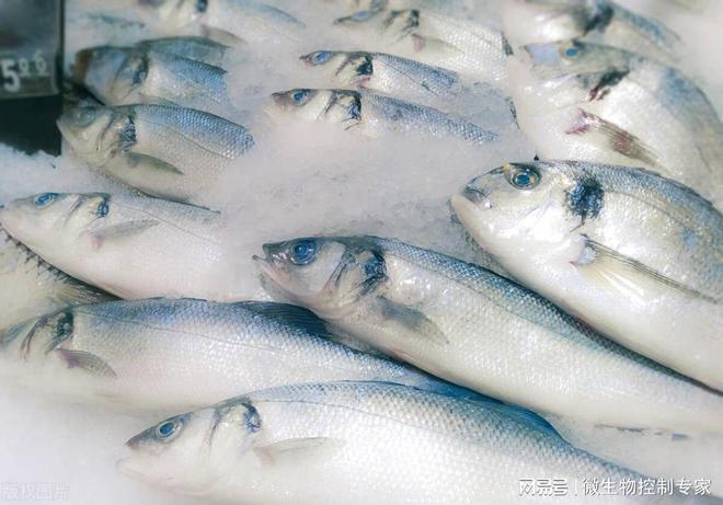诺福水产养殖抑菌代替抗生素水产品保鲜延长保质期安全无残留(图3)