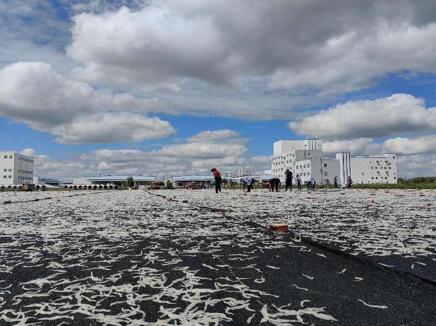 kaiyun：杜尔伯特大咖云集彰显连环湖渔业品牌影响力(图3)