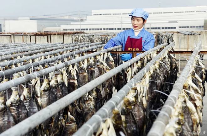 “十四五”渔业发展规划发布：2035年实现渔业现代化【全国水产新闻联播】(图3)