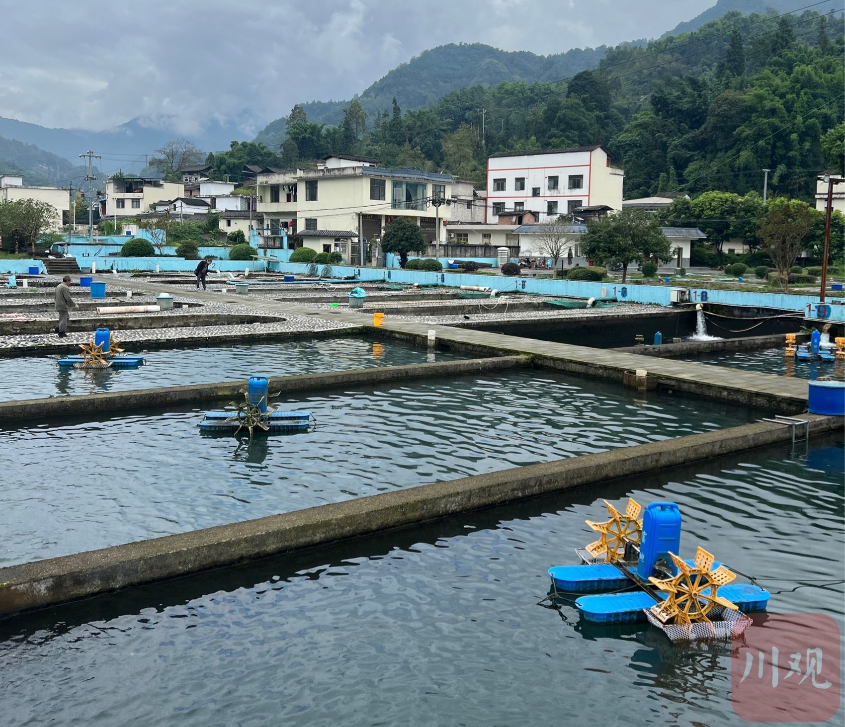 推动现代渔业转型升级西部水产养殖第一省发力设施渔业丨奋力谱写中国式现代化四川新篇章(图2)