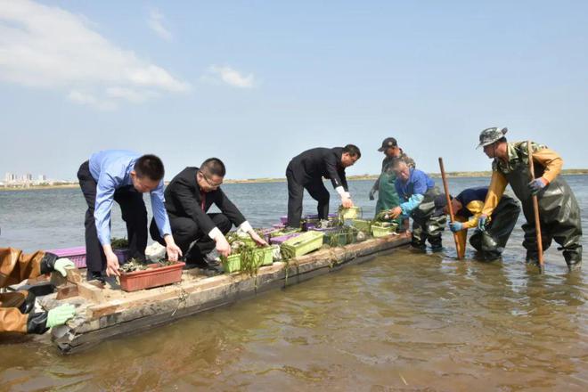 【共美山海】荣成法院打造“四位一体”的生态司法模式守护千里山海好风光(图3)