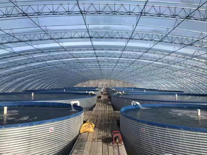 水清鱼欢：天津市渔业转型升级高质量发展成果丰硕(图2)