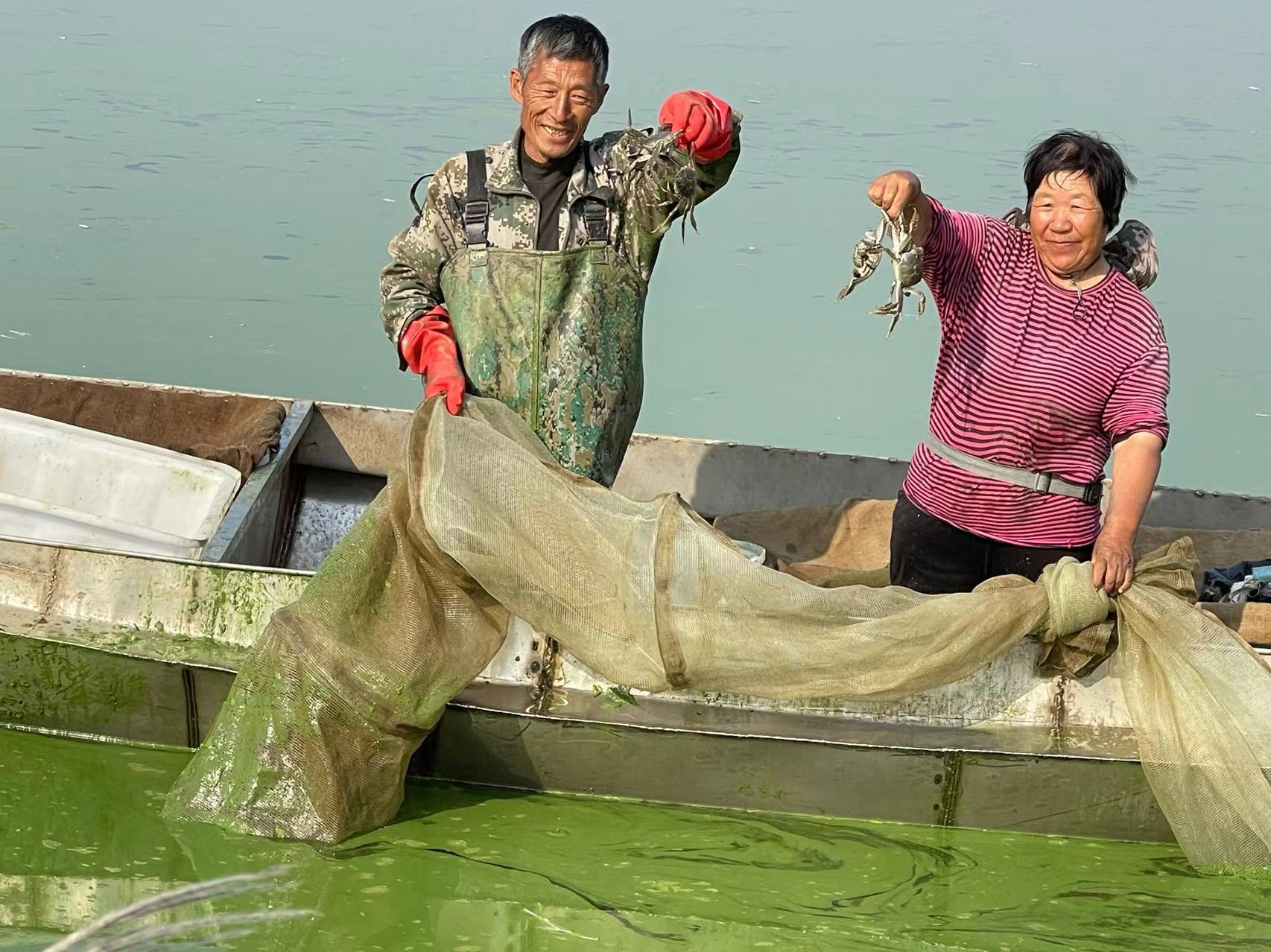 水清鱼欢：天津市渔业转型升级高质量发展成果丰硕(图3)