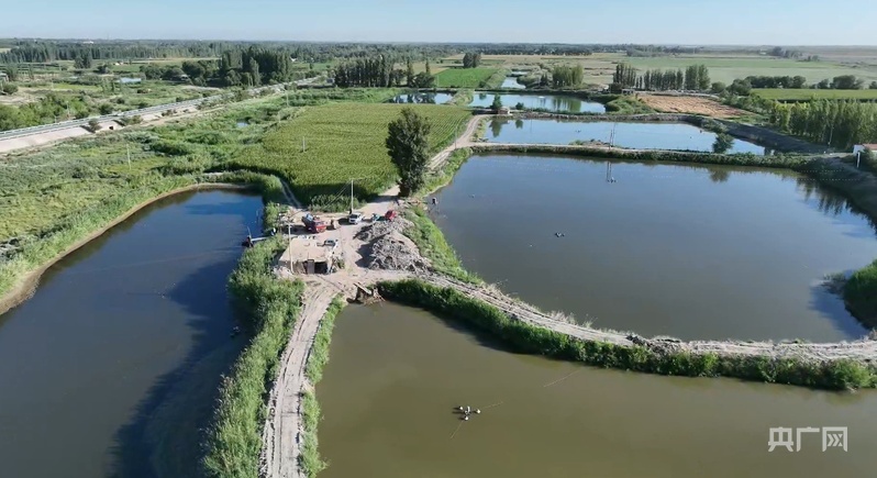 kaiyun入口：丰收“新”盛景丨鱼鲜虾肥！吉木萨尔县渔业养殖迎来丰收好年景(图3)