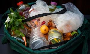 kaiyun入口：2024年渔业产业发展的相关政策背景及投资潜力分析(图4)