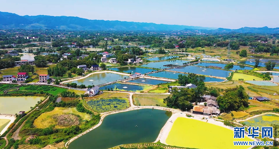 kaiyun入口：新华网重庆频道(图4)