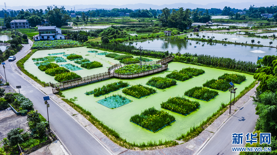 kaiyun入口：新华网重庆频道(图3)