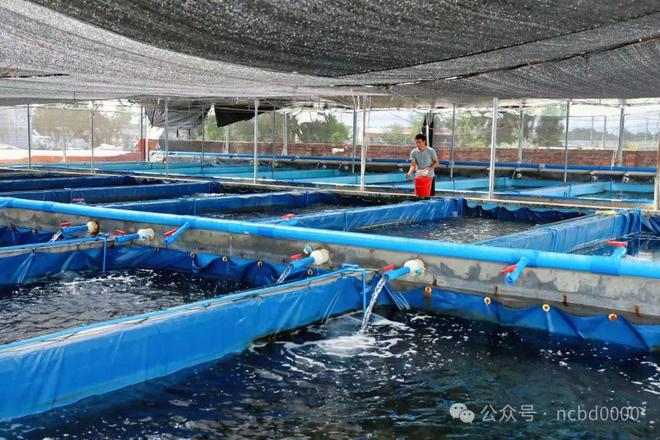粤海饲料集团董事长郑石轩密集走市场战略布局这个新蓝海市场！透露什么信号？(图4)
