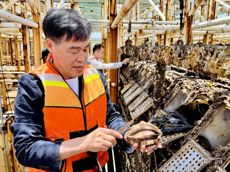 【食在山海间】福建省海洋与渔业局：大力发展“海上粮仓”推进海洋经济高质量发展(图3)