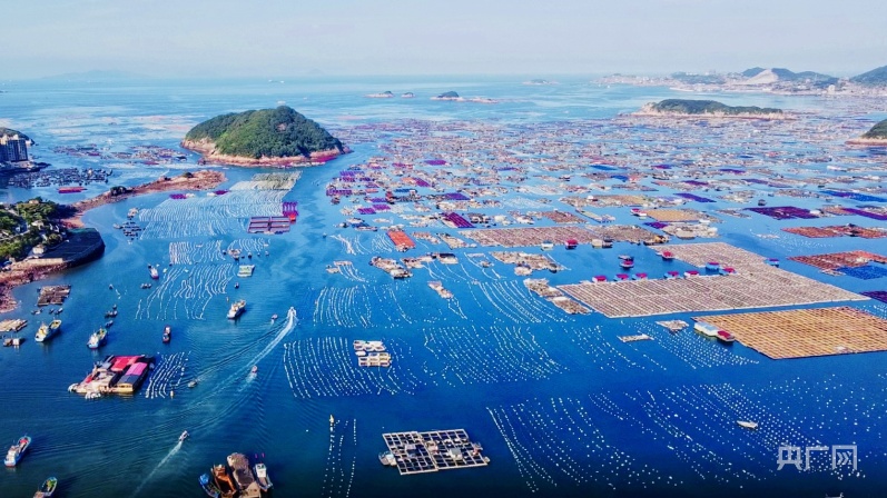 【食在山海间】福建省海洋与渔业局：大力发展“海上粮仓”推进海洋经济高质量发展(图2)