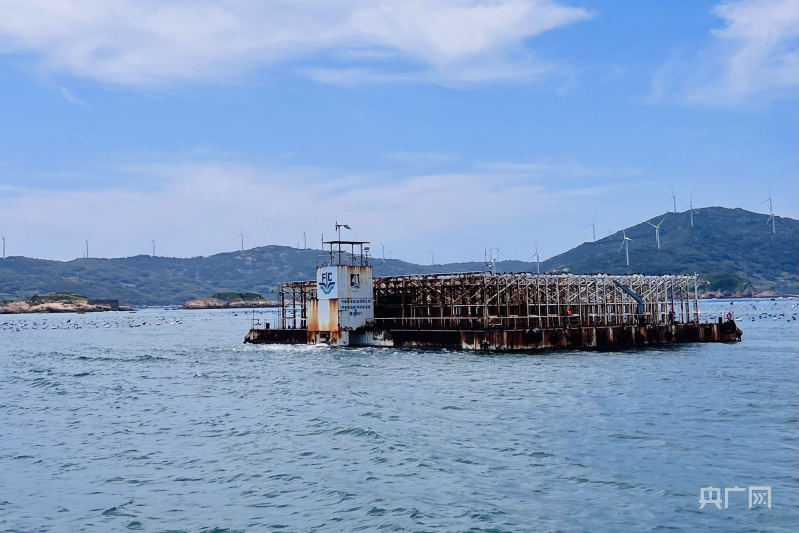 【食在山海间】福建省海洋与渔业局：大力发展“海上粮仓”推进海洋经济高质量发展(图5)