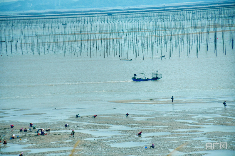 【食在山海间】福建省海洋与渔业局：大力发展“海上粮仓”推进海洋经济高质量发展(图10)