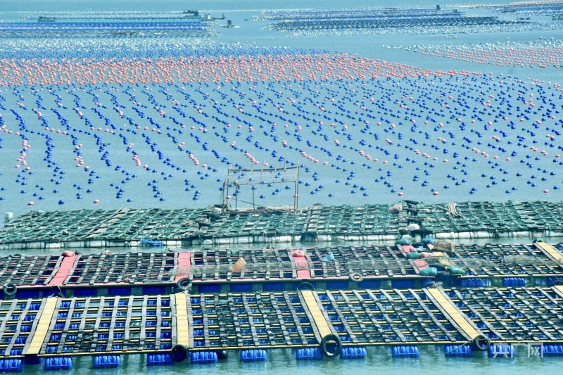 【食在山海间】福建省海洋与渔业局：大力发展“海上粮仓”推进海洋经济高质量发展(图9)