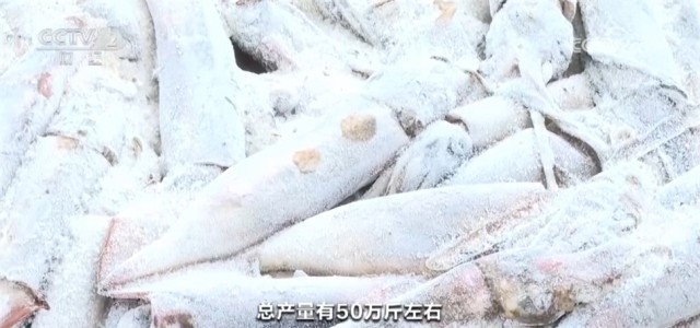 kaiyun入口：底盘稳、动力足、韧性强中国高质量发展“新新”向荣呈现万千气象(图5)