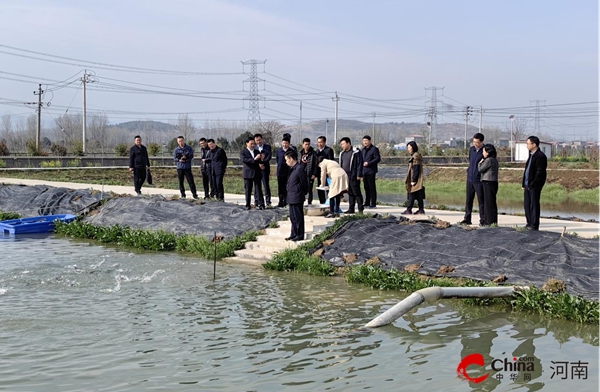 河南省2024年水产绿色健康养殖技术推广“五大行动”暨规范用药科普下乡活动现场会在西平县召开(图2)