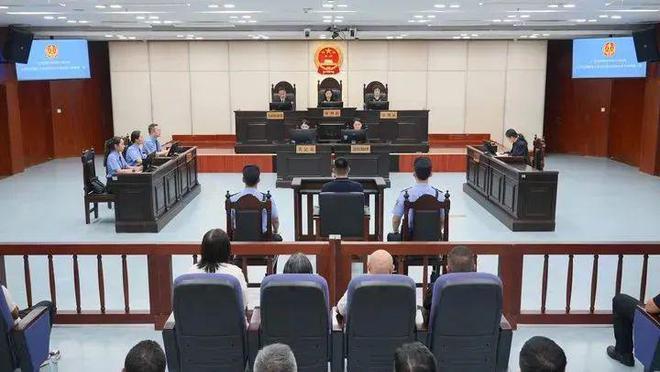 全国首例非法引进外来入侵物种刑事案件宣判(图3)