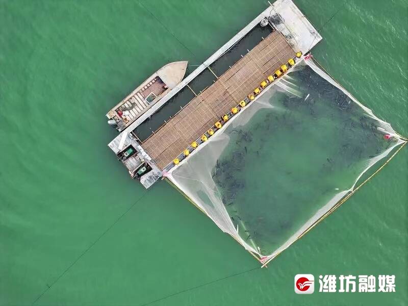 潍坊峡山区：创新“鱼水互养”实现“鱼水双赢”(图2)