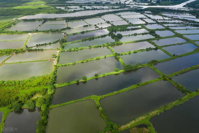 水产养殖的发展前景和现状(图3)
