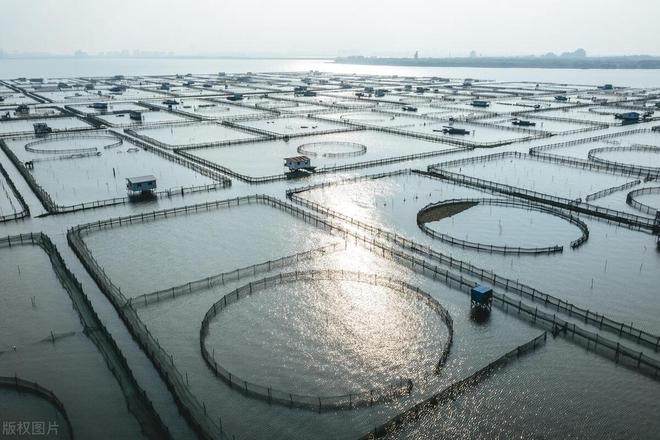 水产养殖的发展前景和现状(图4)