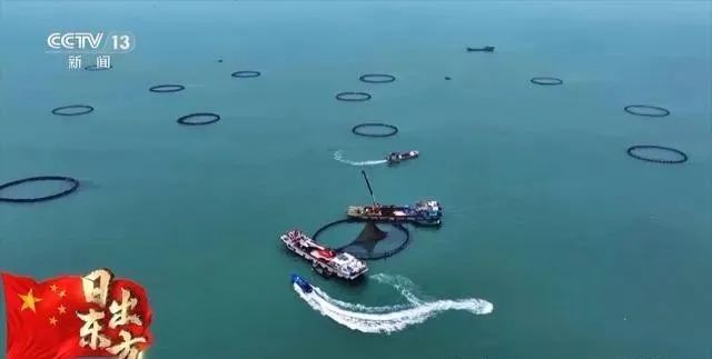 kaiyun：75年超60倍增长！中国水产养殖推进“蓝色转型”(图2)