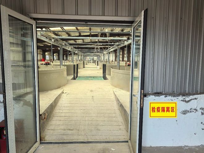 “中国养虾大王”32万亩基地养“虾中茅台”！陈锚：渤海水产全产业链打造生态虾名片！(图4)