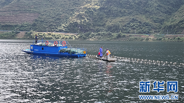黔中平寨水库大水面增殖渔业回捕仪式举行(图2)