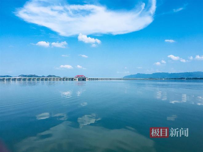 kaiyun：“水下荒漠”变“水下森林”300万只“八月膏”长腿蟹惬意栖居——解锁大冶湖“蝶变”密码(图5)