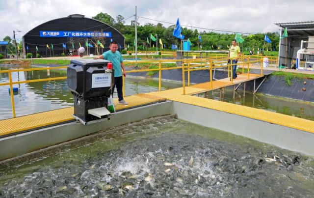 产值1591亿元！广州花都“芯片鱼苗”走俏市场……(图4)