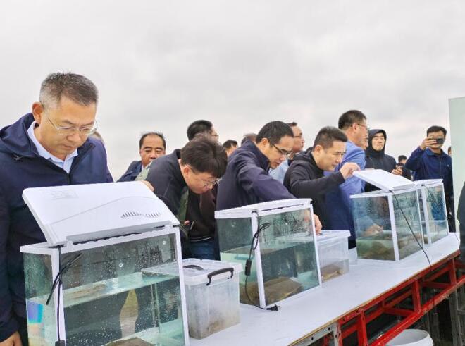 kaiyun入口：肥西县渔业科技实力惊艳全国观摩会(图2)