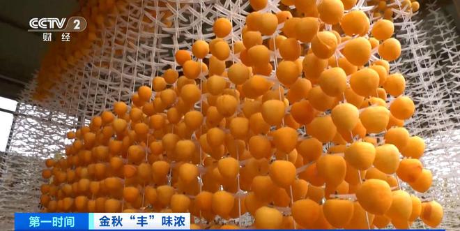 kaiyun入口：“丰”调“鱼”顺霜降过后有喜“柿”！解锁各地助农增收新花样→(图3)