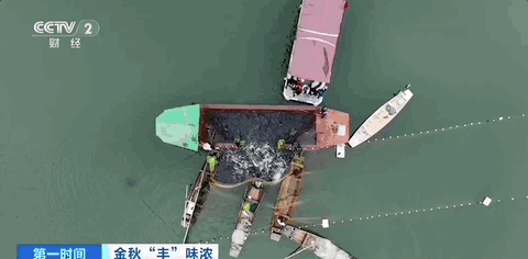 kaiyun入口：“丰”调“鱼”顺霜降过后有喜“柿”！解锁各地助农增收新花样→(图6)