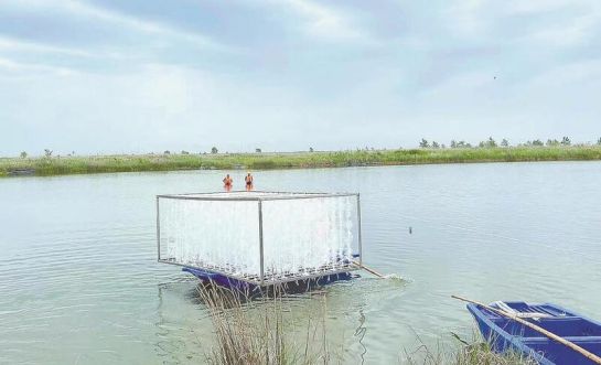 江苏盐城：乘风破浪推动海洋渔业“加速跑”(图2)