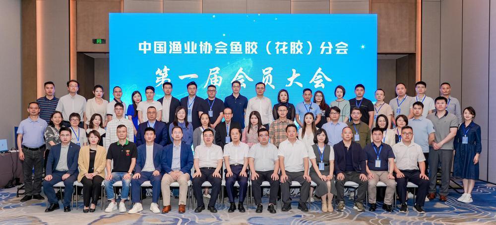 首个全国性鱼胶行业组织在广州南沙成立(图2)