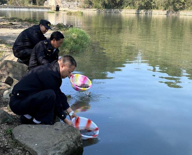 平坝区开展渔业增殖放流活动放流各类苗种56万余尾(图2)