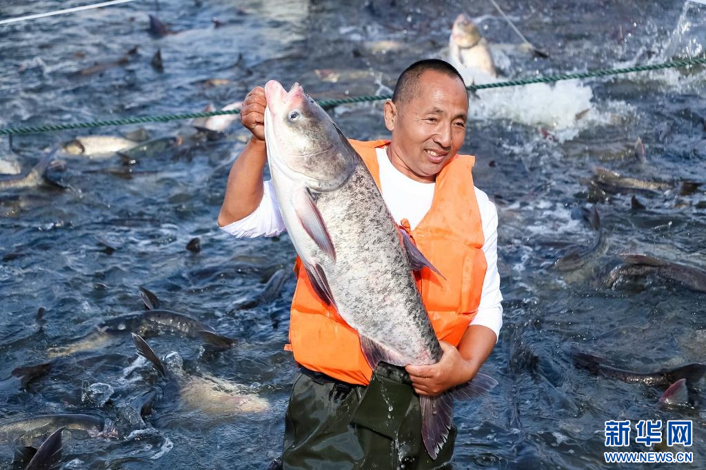 kaiyun网站：texthtml(图3)