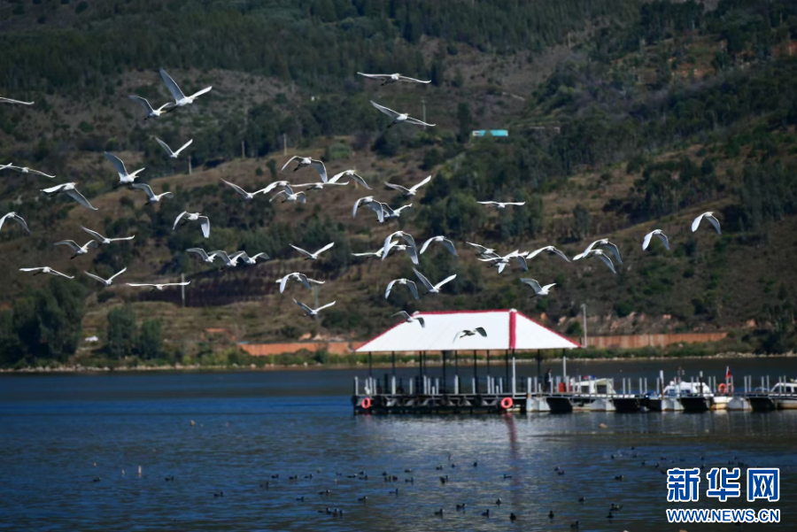 kaiyun网站：昆明阳宗海：生态渔业“邂逅”农文旅共绘绿色发展新篇章_新华网(图2)