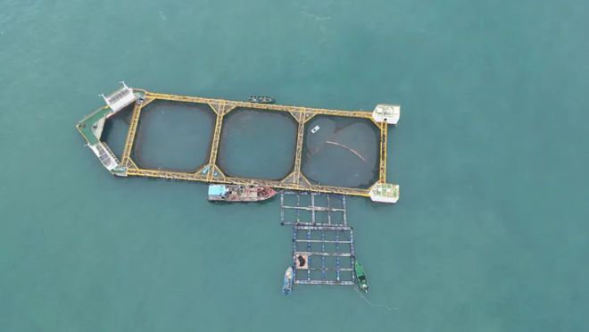 开发竹仙洞、吉大水库风景区……共60个项目！珠海发布最新发展规划！(图3)