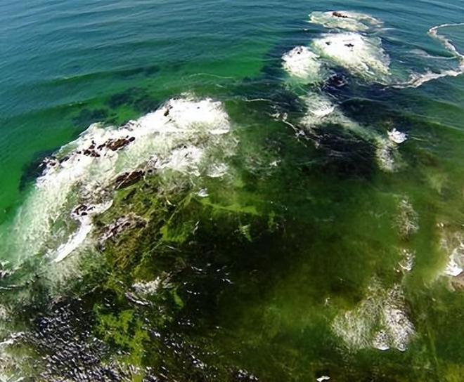 外国船只无权进入！让渤海成为我国内海这座岛有何奇特之处？(图13)