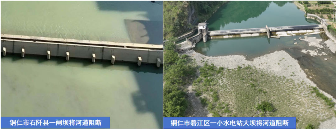 kaiyun入口：环保督察典型案例：贵州省铜仁市水产种质资源保护区生态破坏问题突出(图3)