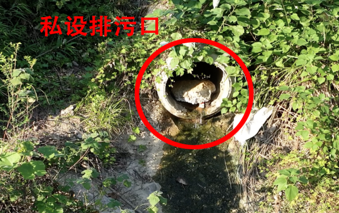 kaiyun入口：环保督察典型案例：贵州省铜仁市水产种质资源保护区生态破坏问题突出(图5)