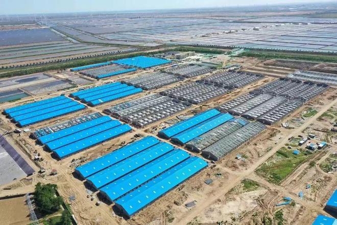 kaiyun入口：450万m³水体！全国超50%工厂化养虾大户都来了！谁是2024中国工厂化养虾高手？请投票！(图2)
