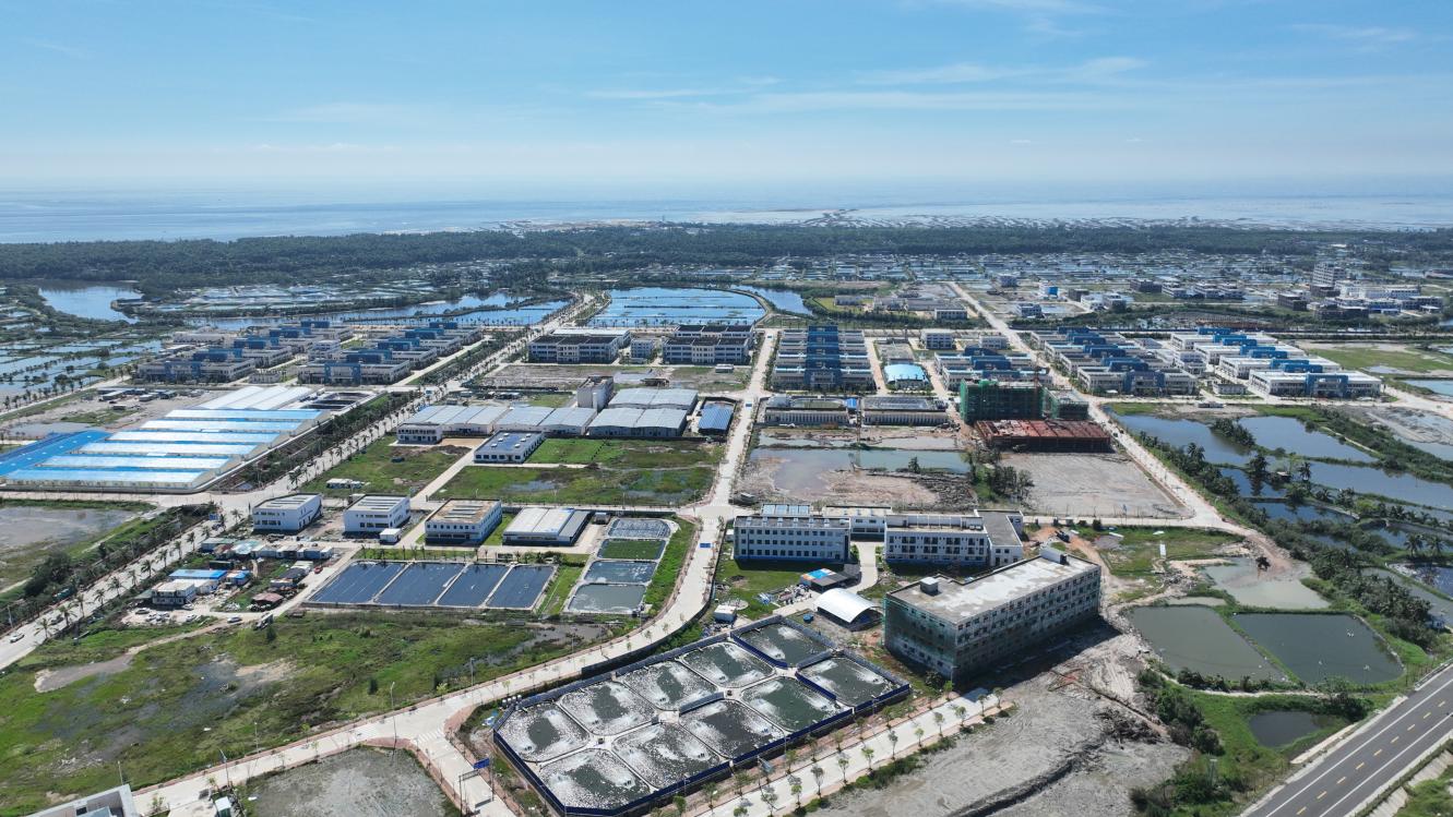 kaiyun：海南解决近海养殖污染问题：走“上楼”养海鲜去！(图6)