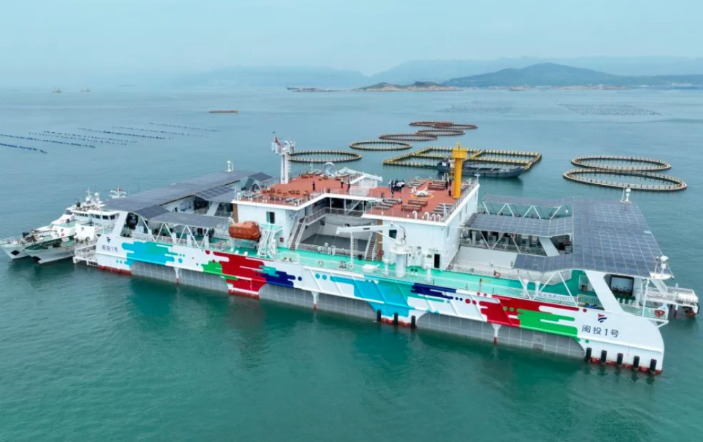 向江河湖海要食物我们如何守好“鱼篓子”？(图3)