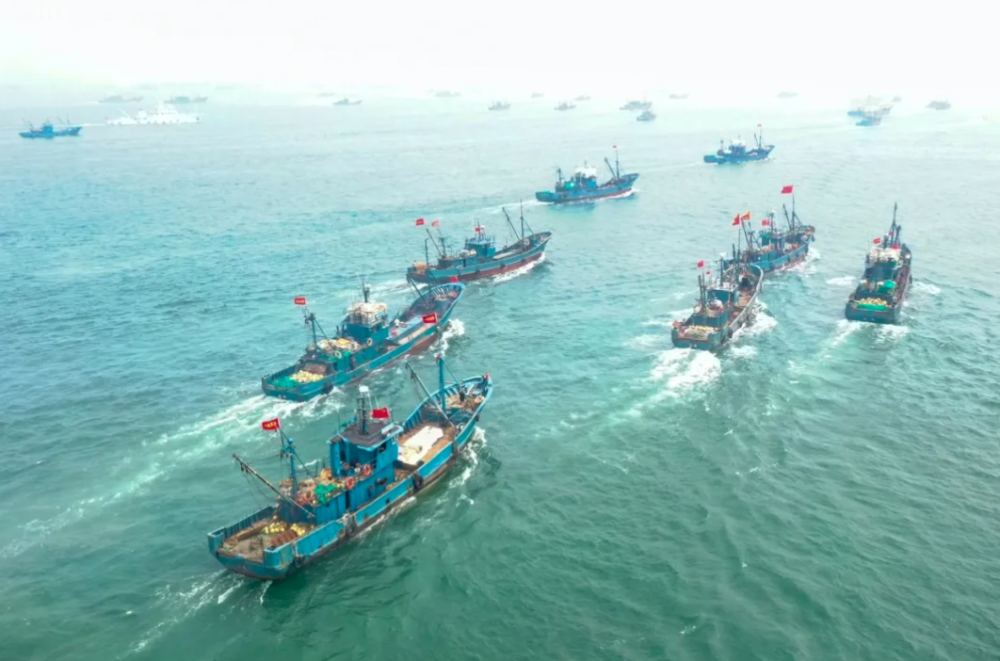 向江河湖海要食物我们如何守好“鱼篓子”？(图5)