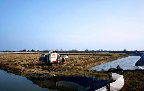 产值超1000亿元江苏水产养殖掀起“致富浪花”(图2)